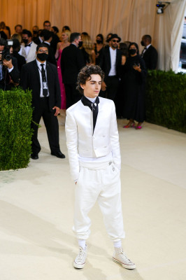 photo 24 in Timothee Chalamet gallery [id1331874] 2023-08-18 00:00:00
