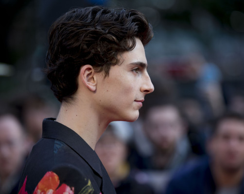 Timothee Chalamet pic #1317657