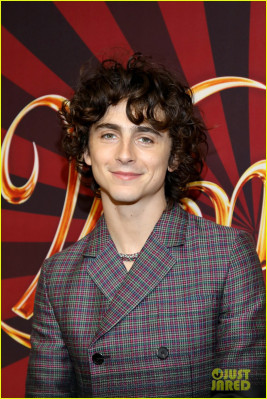 Timothee Chalamet pic #1341253