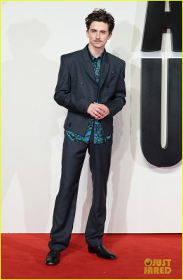 photo 11 in Chalamet gallery [id1371479] 2025-05-15 00:00:00