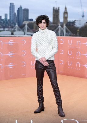 photo 5 in Timothee Chalamet gallery [id1348120] 2024-04-21 00:00:00