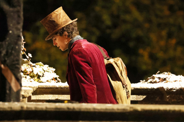 Timothee Chalamet pic #1275288