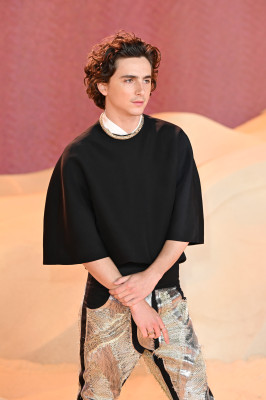 photo 3 in Timothee gallery [id1348309] 2024-04-23 00:00:00