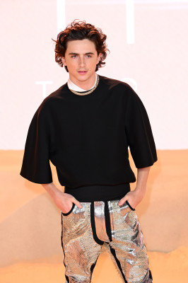 photo 6 in Timothee gallery [id1346347] 2024-03-18 00:00:00