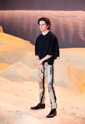 photo 6 in Chalamet gallery [id1355032] 2024-08-09 00:00:00
