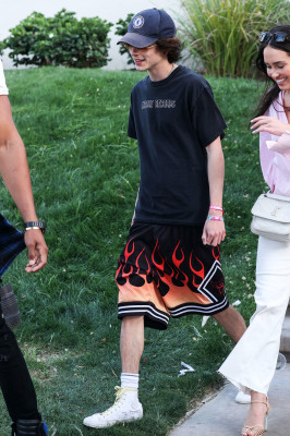 Timothee Chalamet pic #1320037