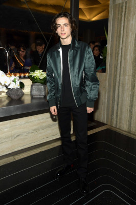 Timothee Chalamet pic #1323178