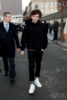 Timothee Chalamet pic #1283122