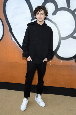 Timothee Chalamet pic #1283118