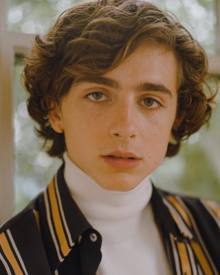 Timothee Chalamet pic #1323729