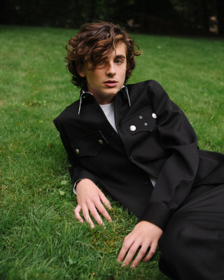 photo 6 in Chalamet gallery [id1323730] 2023-03-15 00:00:00