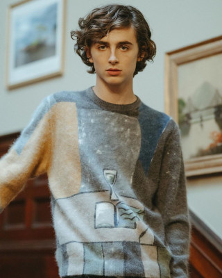 Timothee Chalamet pic #1323731