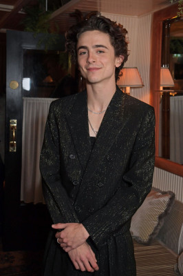 Timothee Chalamet pic #1275833