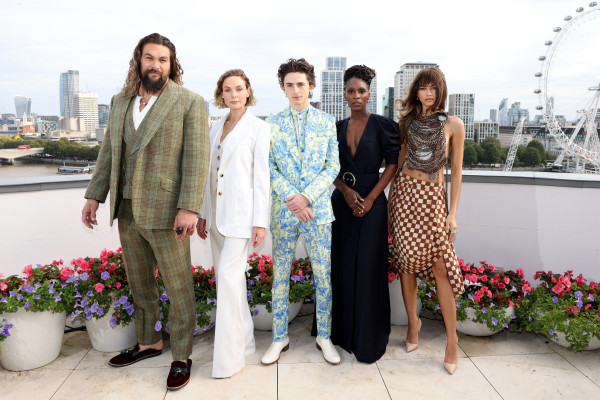 Timothee Chalamet pic #1275783