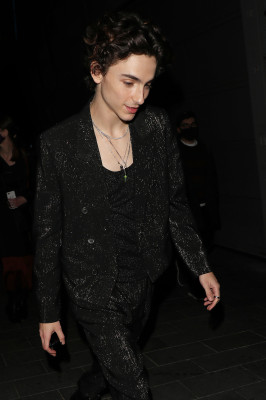 Timothee Chalamet pic #1275821