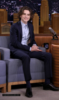 photo 14 in Timothee Chalamet gallery [id1323323] 2023-03-09 00:00:00