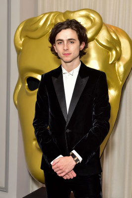 photo 26 in Timothee gallery [id1362493] 2024-12-25 00:00:00