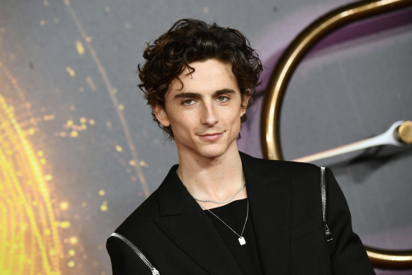 Timothee Chalamet pic #1276313