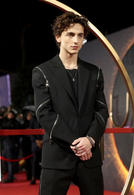 Timothee Chalamet pic #1276303
