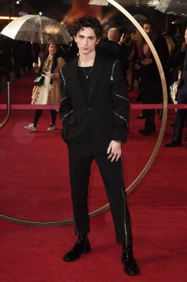 Timothee Chalamet pic #1276291