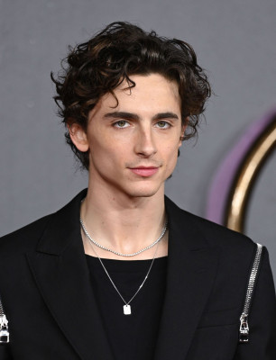 Timothee Chalamet pic #1276294