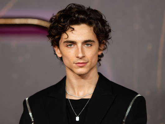 Timothee Chalamet pic #1276295