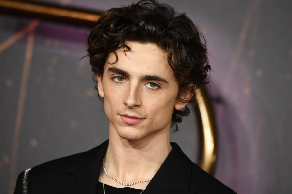 Timothee Chalamet pic #1276300