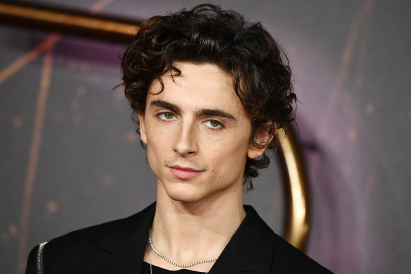 Timothee Chalamet pic #1276441