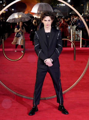 Timothee Chalamet pic #1276439