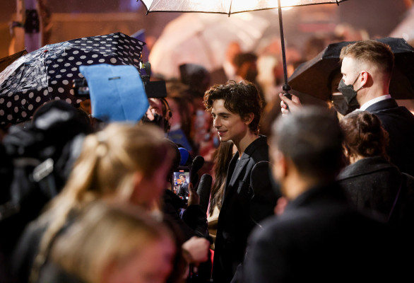Timothee Chalamet pic #1276440