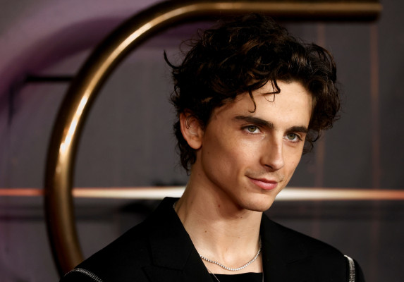 Timothee Chalamet pic #1276445