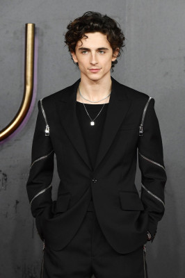Timothee Chalamet pic #1276307