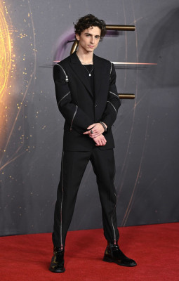 Timothee Chalamet pic #1276308