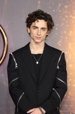 Timothee Chalamet pic #1276309