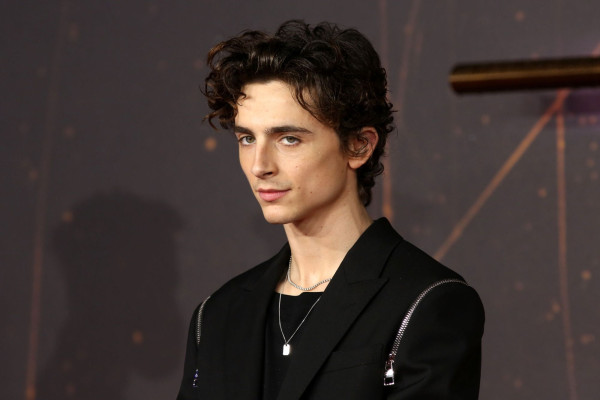 Timothee Chalamet pic #1276310