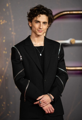 Timothee Chalamet pic #1276311