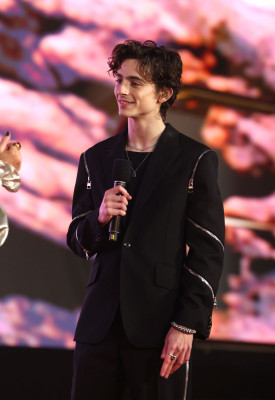 Timothee Chalamet pic #1276312