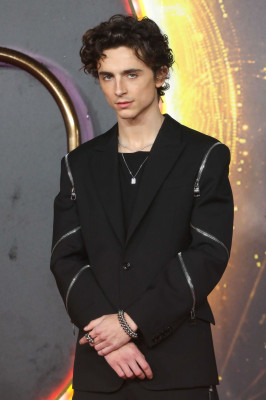 Timothee Chalamet pic #1276306