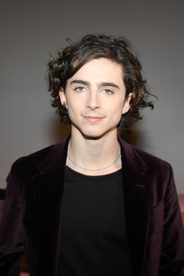 Timothee Chalamet pic #1293229