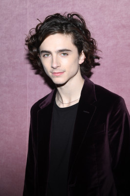 Timothee Chalamet pic #1293233