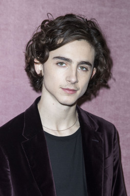 Timothee Chalamet pic #1293236