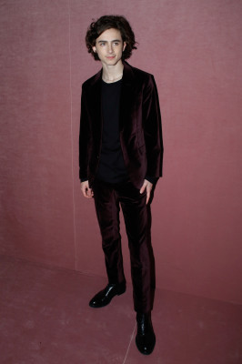 Timothee Chalamet pic #1293240