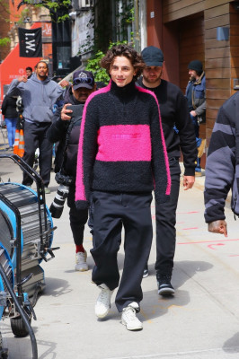 photo 16 in Chalamet gallery [id1332761] 2023-08-31 00:00:00