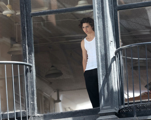 Timothee Chalamet pic #1334814