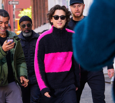 Timothee Chalamet pic #1334812