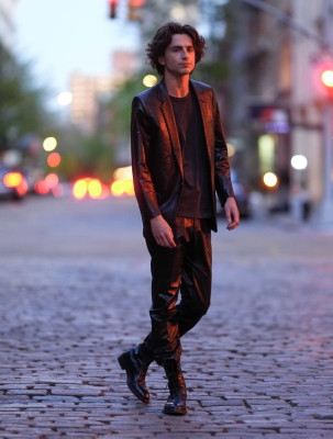 Timothee Chalamet pic #1334813