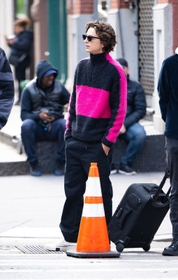 Timothee Chalamet pic #1327370