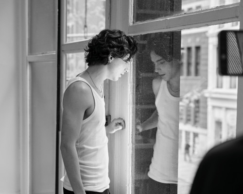 Timothee Chalamet pic #1342252