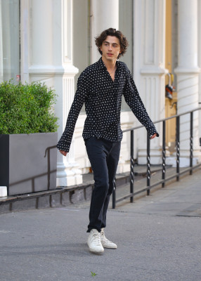 Timothee Chalamet pic #1327372