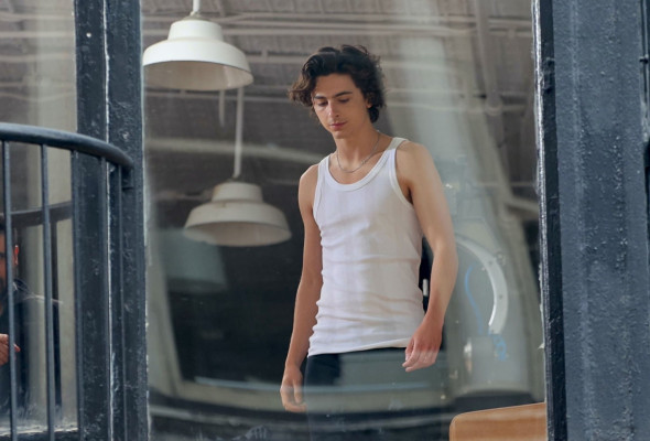 Timothee Chalamet pic #1329634